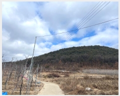  2024Ÿ738  û۱  ż 55-2      (Ӿ)