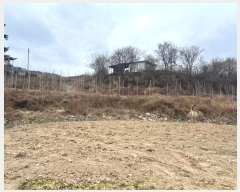  2024Ÿ738  û۱  ż 55-2      (Ӿ)