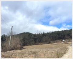  2024Ÿ738  û۱  ż 55-2      (Ӿ)