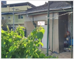  2024Ÿ��11431  ���ð��