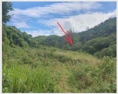  2024Ÿ��11455 ��� û�۱� û���� �Ŵ븮 274      ����(����)���