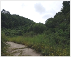  2024Ÿ��11455 ��� û�۱� û���� �Ŵ븮 274      ����(����)���