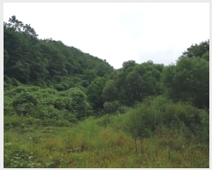  2024Ÿ��11455 ��� û�۱� û���� �Ŵ븮 274      ����(����)���