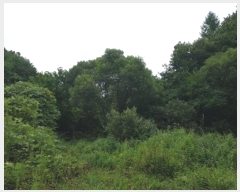  2024Ÿ��11455 ��� û�۱� û���� �Ŵ븮 274      ����(����)���