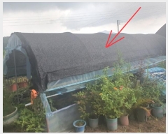  2024Ÿ��11578  ����