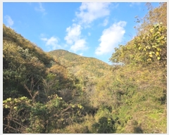  2024Ÿ��11752  �����