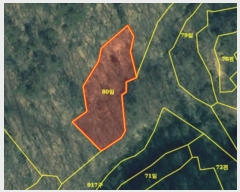  2024Ÿ��11752  �����