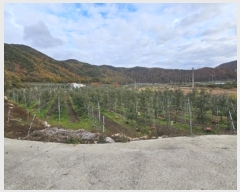  2024Ÿ��11752  �����