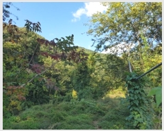  2024Ÿ��11752  �����