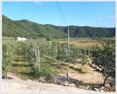  2024Ÿ��11752  �����