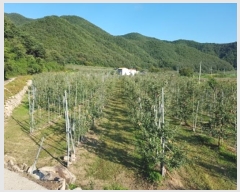  2024Ÿ��11752  �����