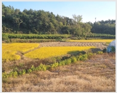  2024Ÿ11790 뱸  꼺 ȭ 894      ()