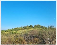  2024Ÿ11790 뱸  꼺 ȭ 894      ()