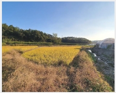  2024Ÿ11790 뱸  꼺 ȭ 894      ()