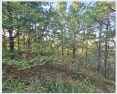  2024Ÿ11790 뱸  꼺 ȭ 894      ()