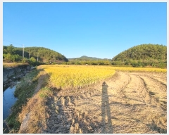  2024Ÿ11790 뱸  꼺 ȭ 894      ()