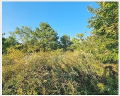  2024Ÿ11790 뱸  꼺 ȭ 894      ()