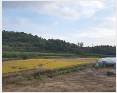  2024Ÿ11790 뱸  꼺 ȭ 894      ()