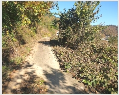  2024Ÿ��11813  �����