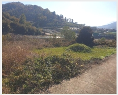  2024Ÿ��11813  �����