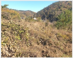  2024Ÿ��11813  �����