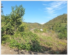  2024Ÿ��11813  �����