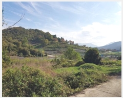  2024Ÿ��11813  �����