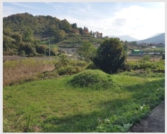  2024Ÿ��11813  �����