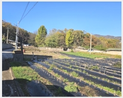  2024Ÿ11905 뱸    165      ()