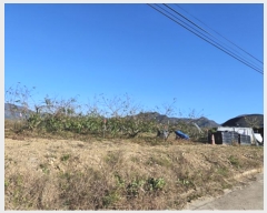  2024Ÿ11905 뱸    165      ()