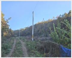  2024Ÿ11905 뱸    165      ()