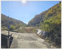  2024Ÿ11905 뱸    165      ()