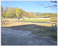  2024Ÿ11905 뱸    165      ()