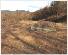  2024Ÿ��11929 ��� �Ǽ��� ����� ��긮 919      ����(��1)���