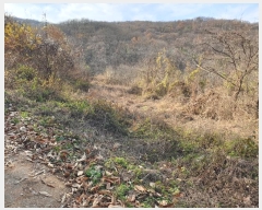  2024Ÿ��11929 ��� �Ǽ��� ����� ��긮 919      ����(��1)���