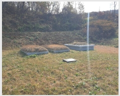  2024Ÿ��11929 ��� �Ǽ��� ����� ��긮 919      ����(��1)���