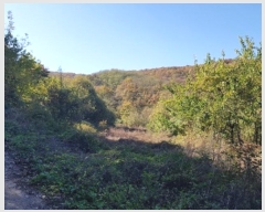  2024Ÿ��11929 ��� �Ǽ��� ����� ��긮 919      ����(��1)���