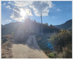  2024Ÿ11936  Ǽ   97      (Ӿ)