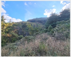  2024Ÿ11936  Ǽ   97      (Ӿ)