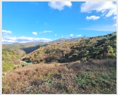  2024Ÿ11936  Ǽ   97      (Ӿ)