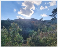  2024Ÿ11936  Ǽ   97      (Ӿ)