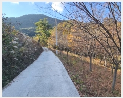  2024Ÿ11936  Ǽ   97      (Ӿ)