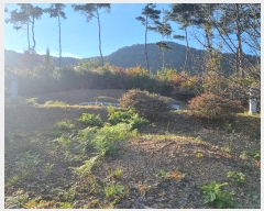  2024Ÿ11936  Ǽ   97      (Ӿ)