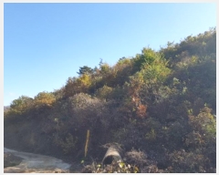  2024Ÿ11936  Ǽ   97      (Ӿ)