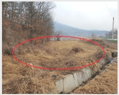  2024Ÿ12199  Ǽ Ȼ  588      ()