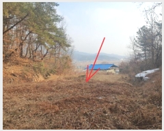  2024Ÿ12199  Ǽ Ȼ  588      ()