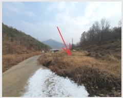  2024Ÿ12199  Ǽ Ȼ  588      ()