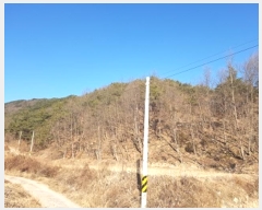  2024Ÿ12199  Ǽ Ȼ  588      ()