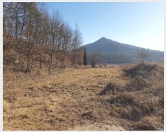  2024Ÿ12199  Ǽ Ȼ  588      ()