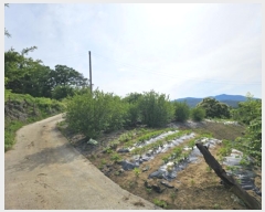  2024Ÿ��301 �뱸 ������ �Һ��� ���Ǹ� 1209      ����(��1)���